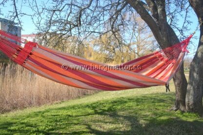 Hängmatta Paraíba upphängd tom mellan träd i en park.